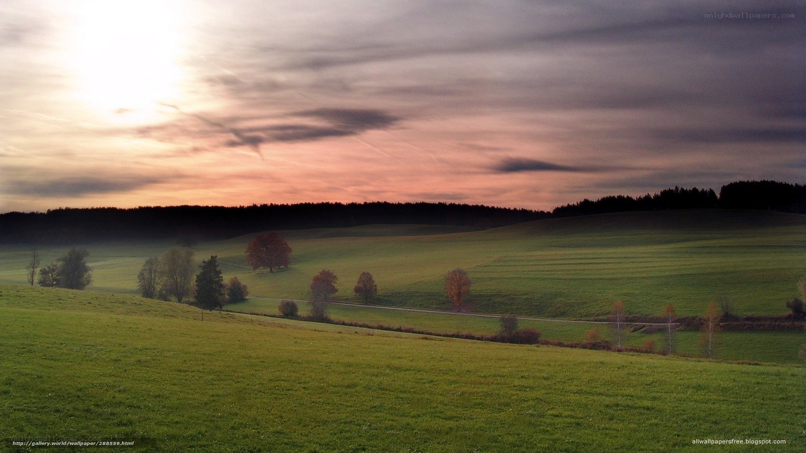 Green fields at sunset