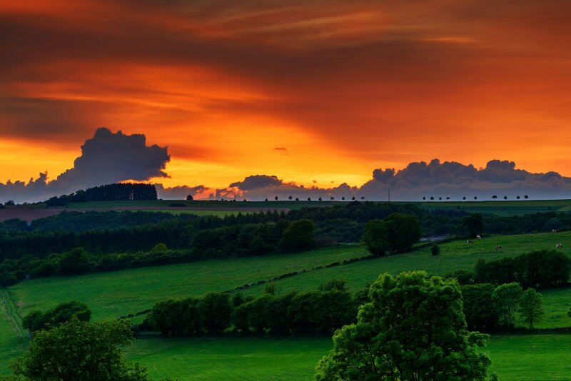 Green Fields at Sunset — Orange