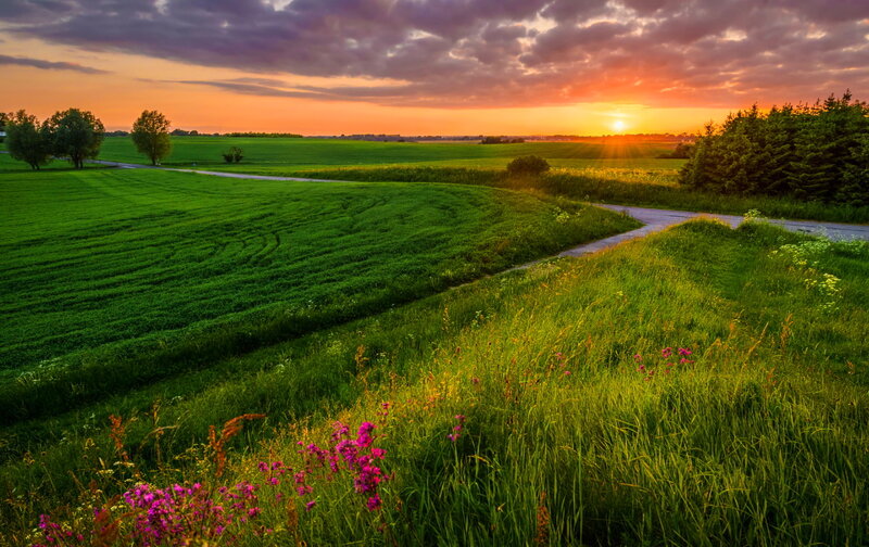 Green Fields at Sunset — Serene, Photograph