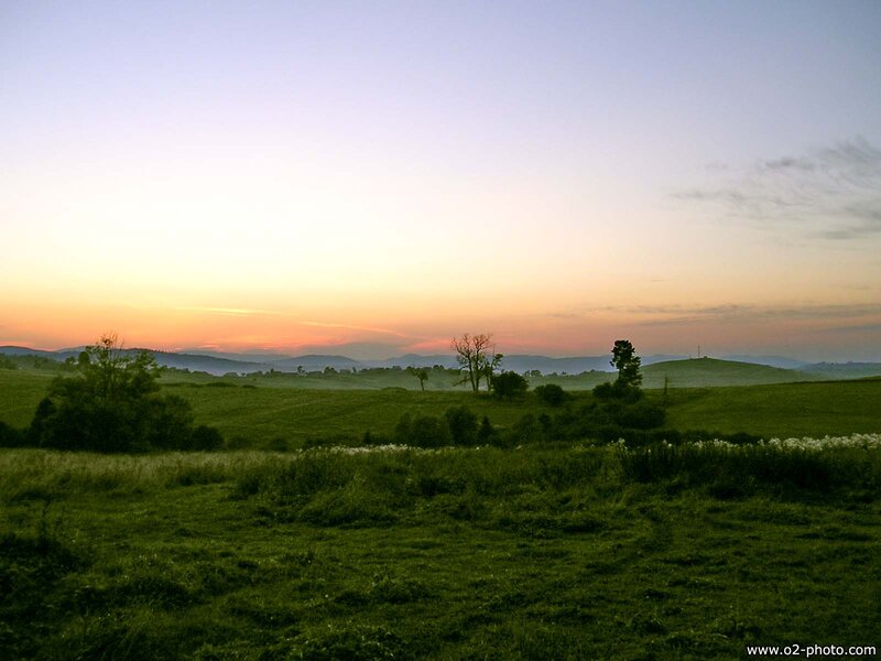 Green Fields at Sunset — Serene
