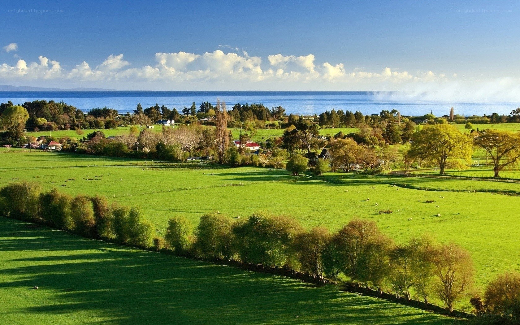 Green fields by the sea