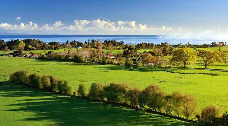 Green fields by the sea