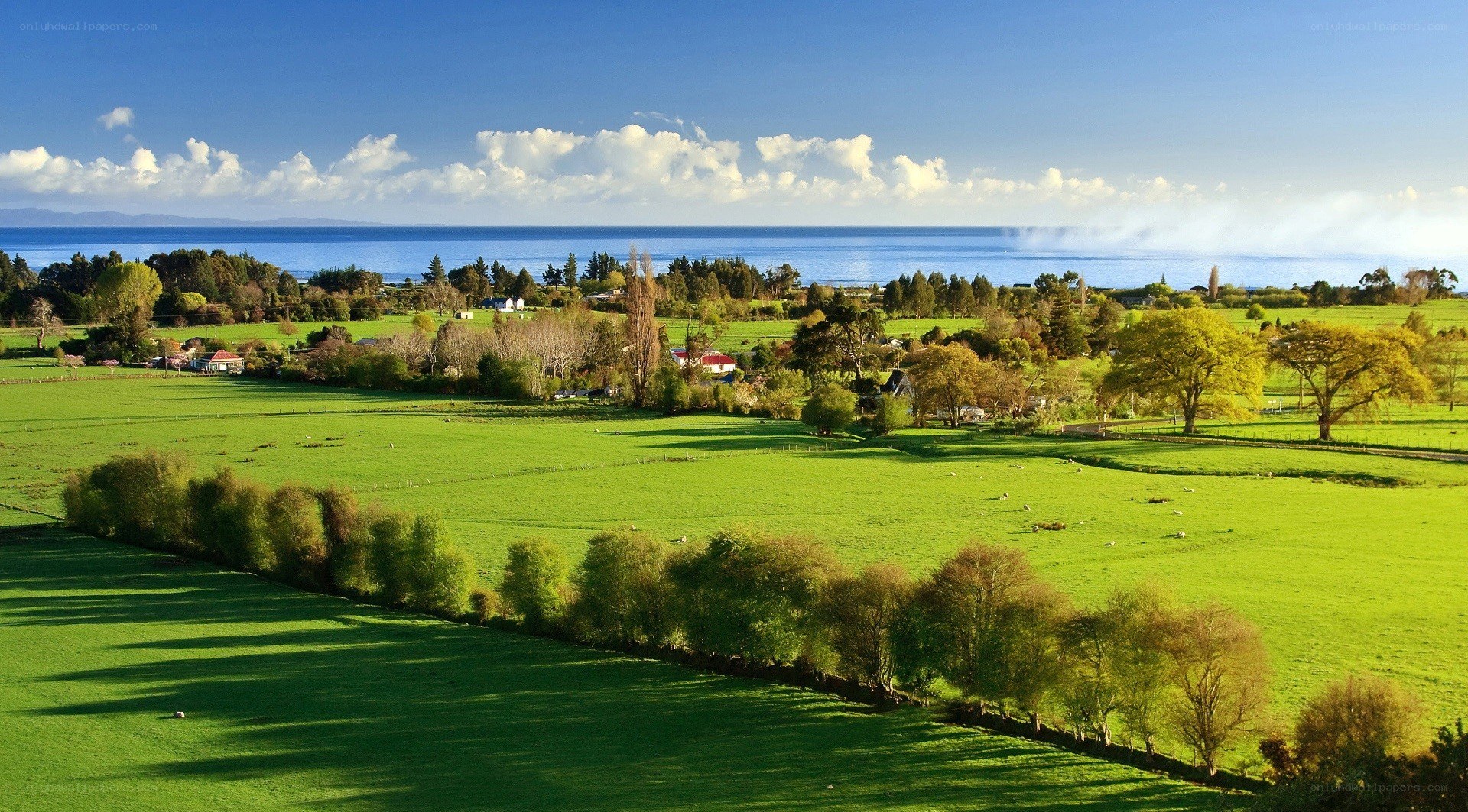 Green fields by the sea