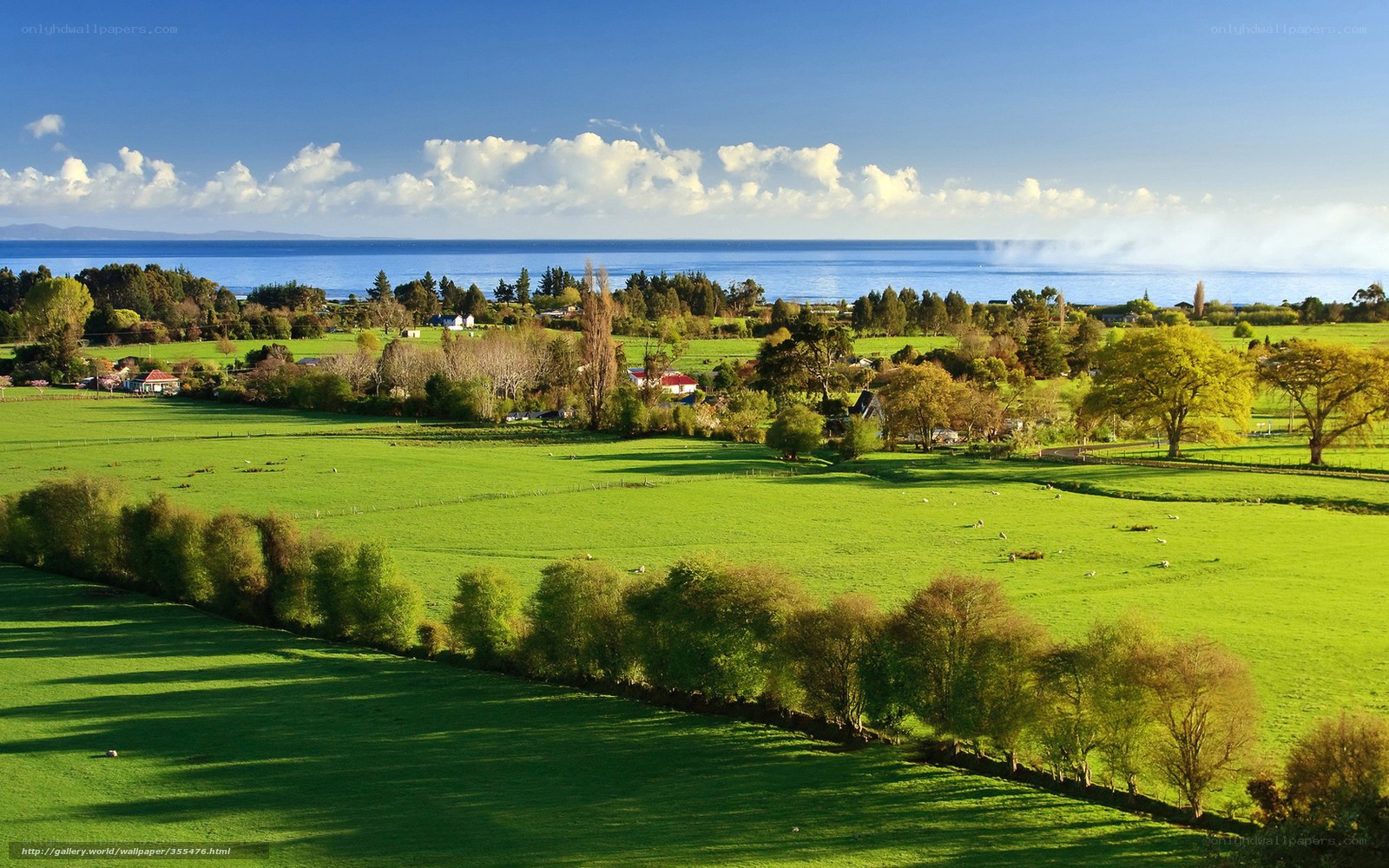 Green fields by the sea