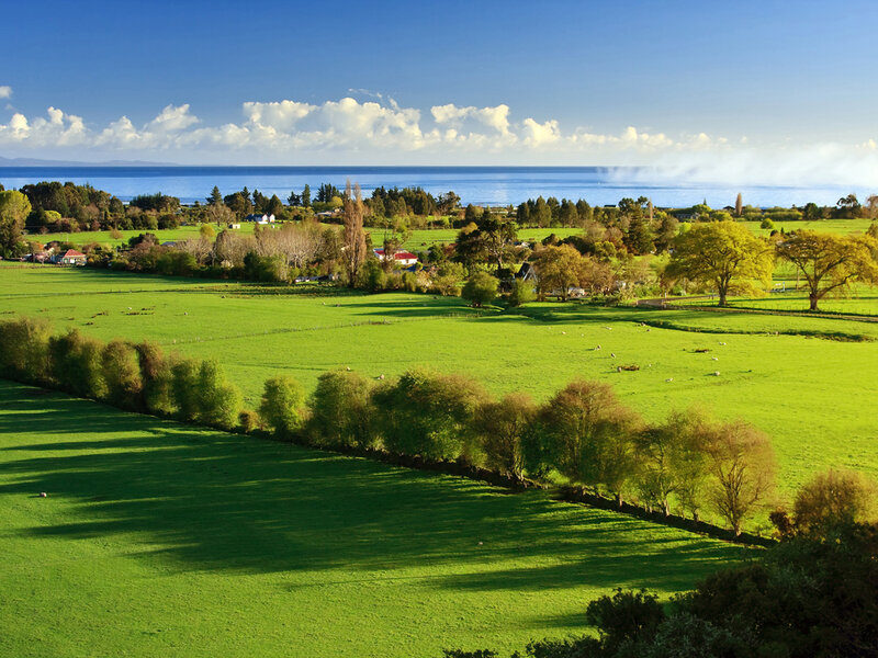 Green Fields by the Sea — Photograph