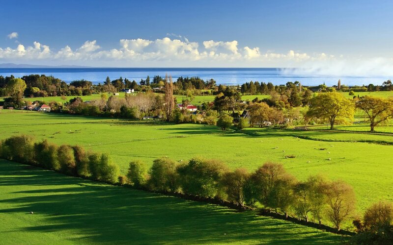 Green Fields by the Sea — Serene, Afternoon, Photograph, Trees, Houses, Clouds, Blue