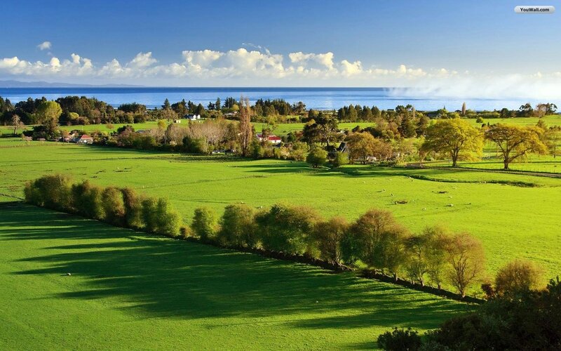 Green Fields by the Sea — Serene, Afternoon