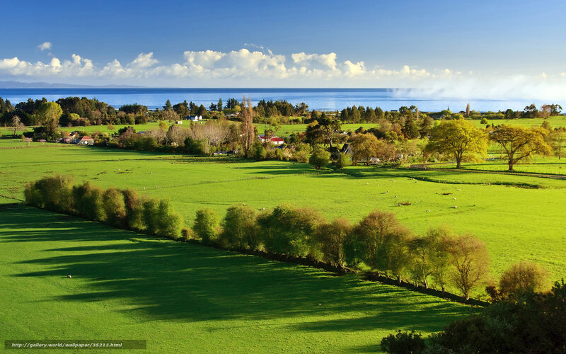 Green Fields by the Sea