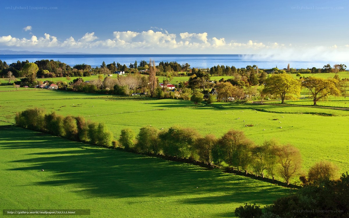 Green Fields by the Sea
