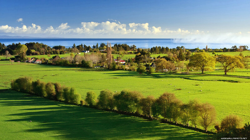 Green Fields Near Ocean
