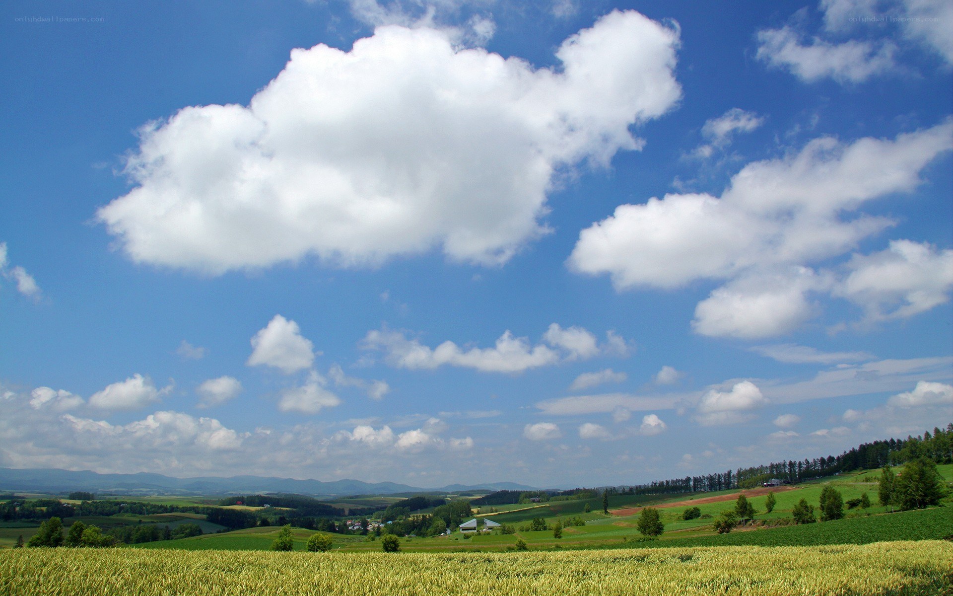 Green fields under a blue sky