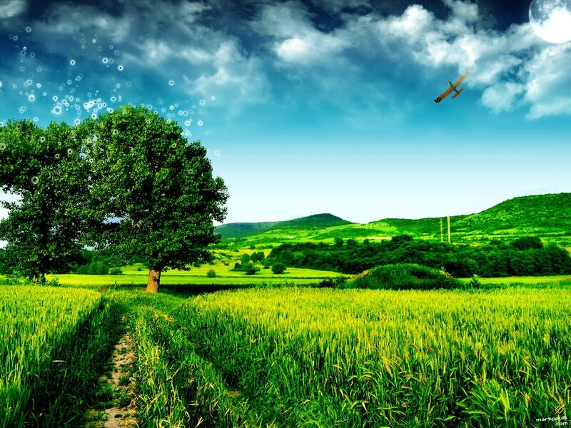 Green fields under a cloudy sky