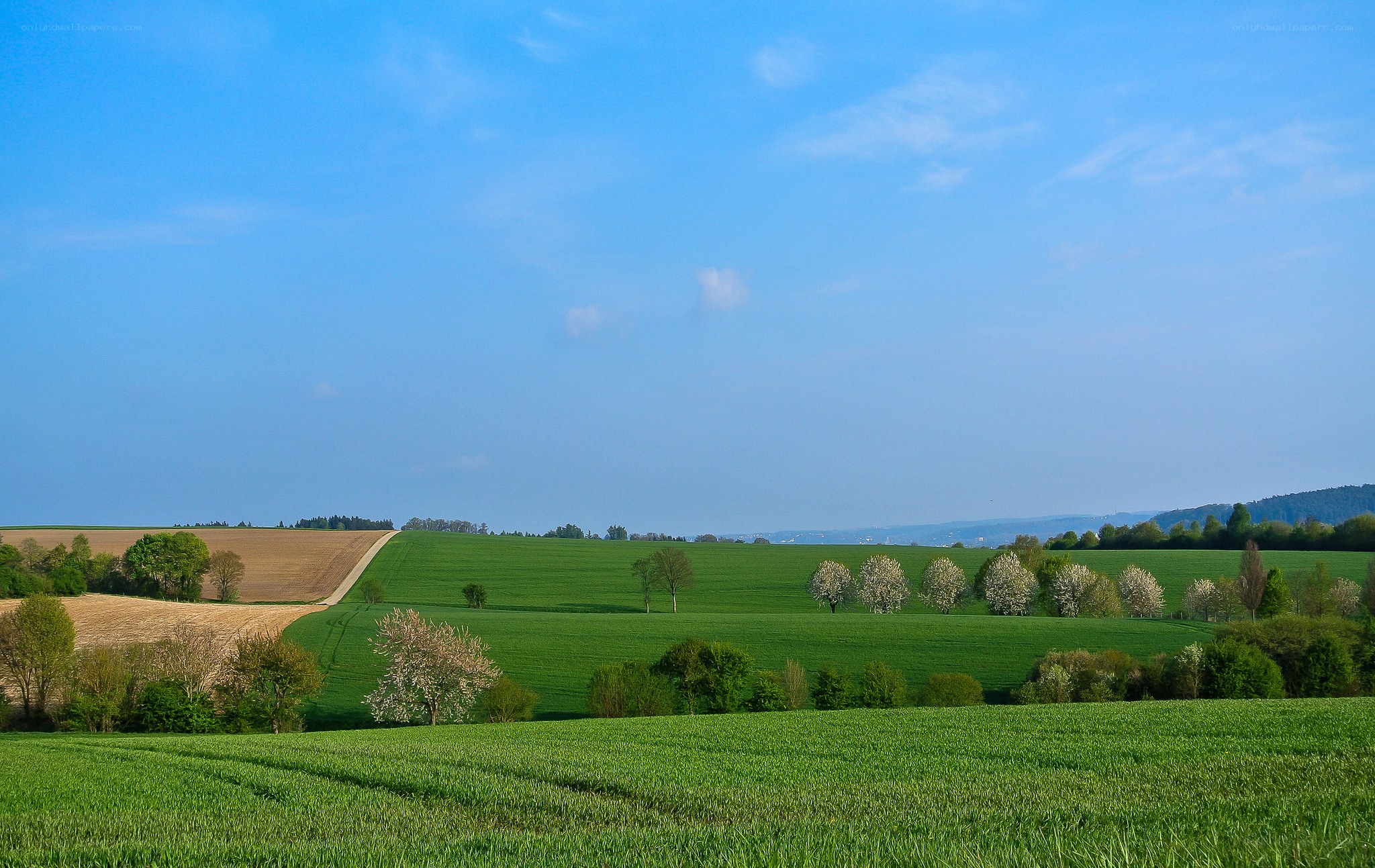 Green fields under blue sky