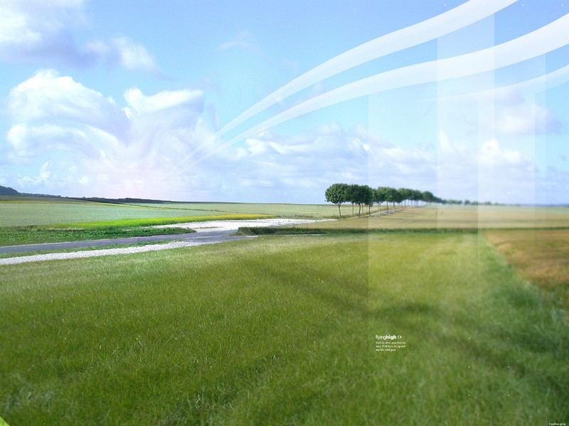 Green fields under blue sky