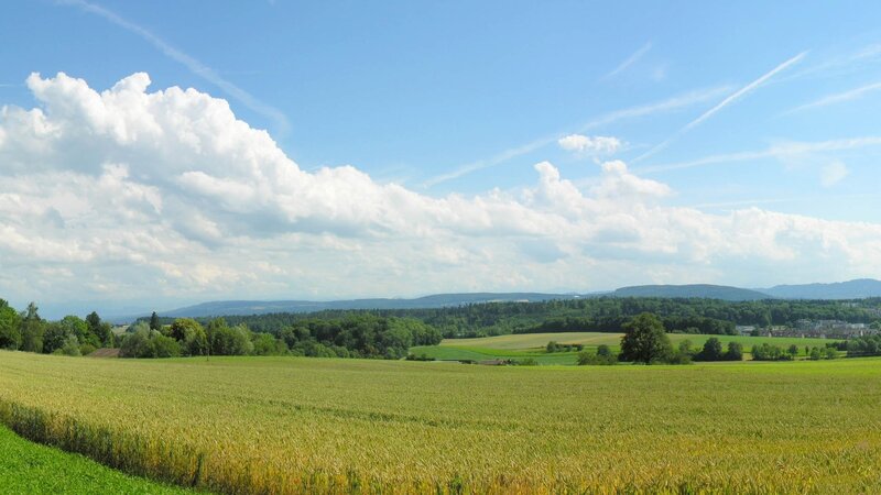 Green fields under blue sky
