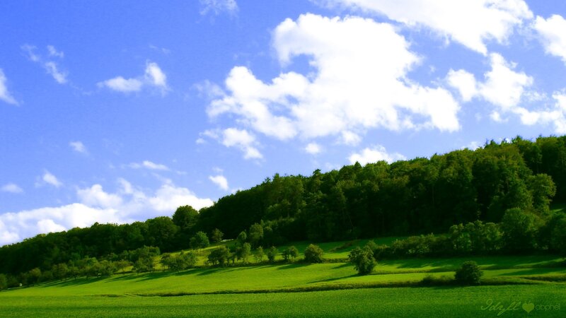 Green fields under blue sky