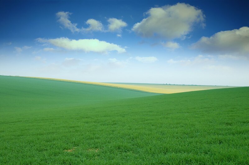 Green fields under blue sky