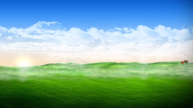 Green fields under blue sky
