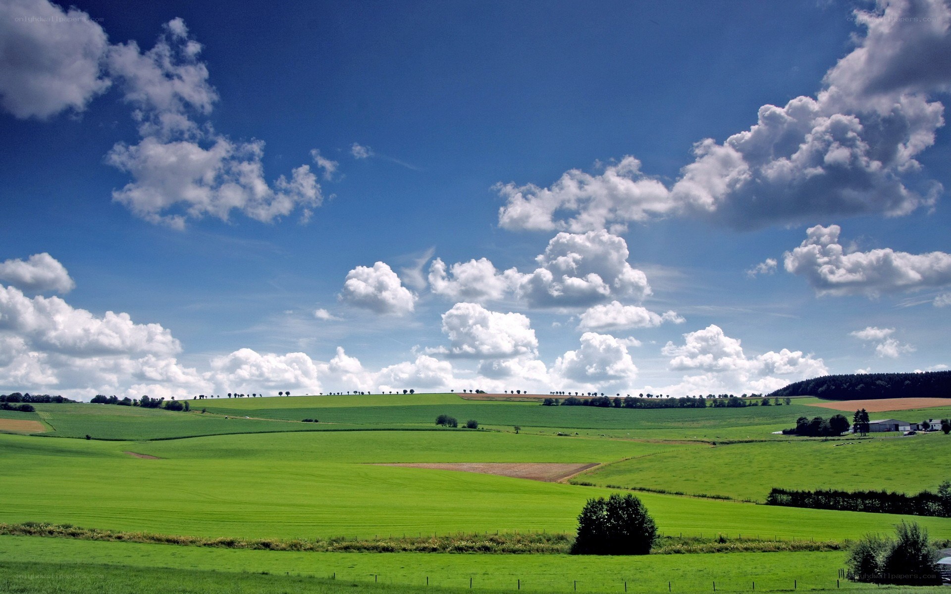 Green fields under blue sky