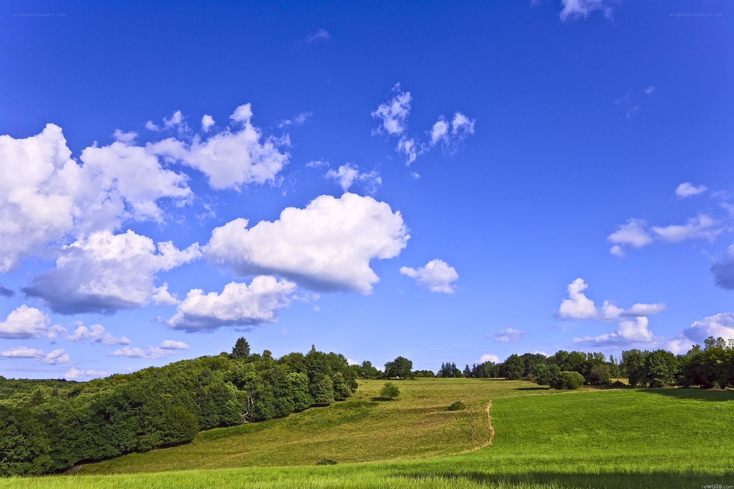Green fields under blue sky