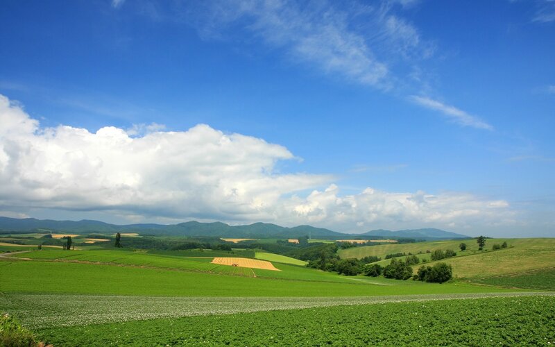 Green fields under blue sky