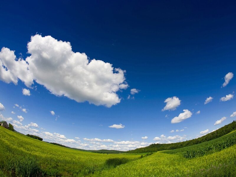 Green fields under blue sky