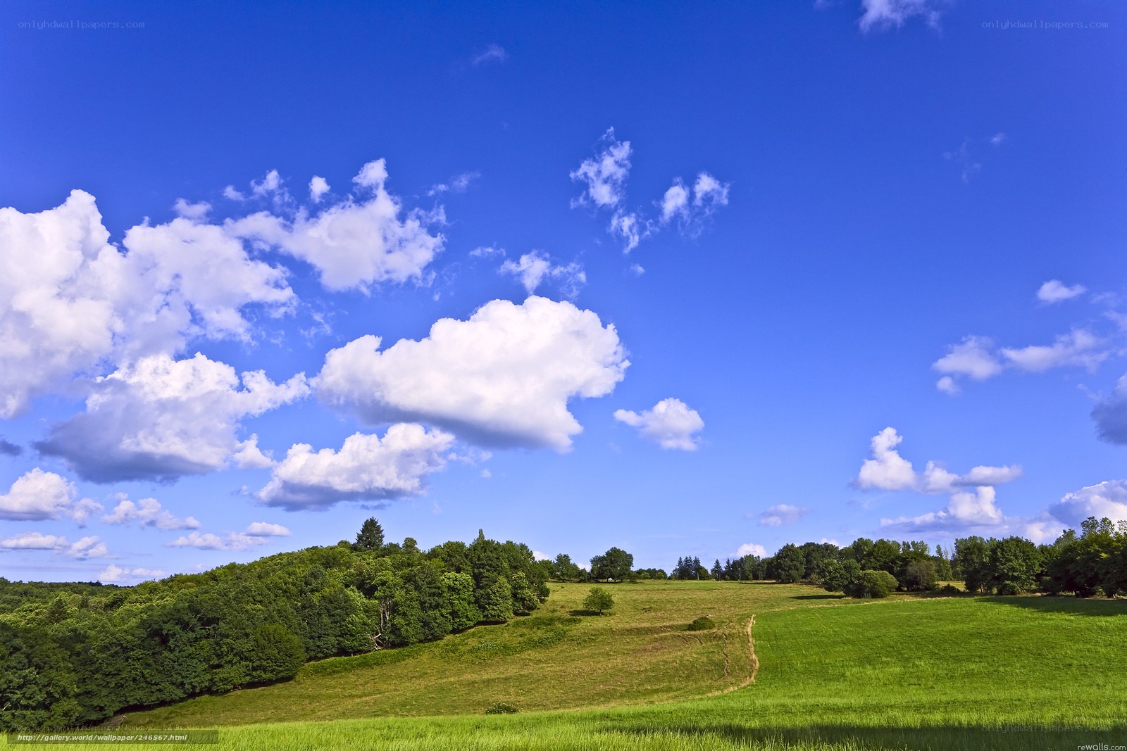 Green fields under blue sky