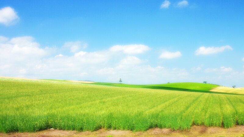 Green Fields under Blue Sky — Serene, Afternoon, Photograph, Clouds, Hills, Trees