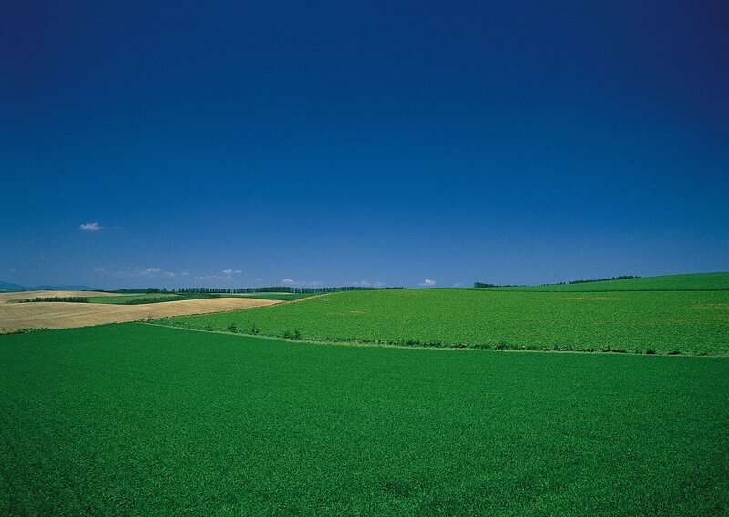 Green Fields under Blue Sky — Serene, Afternoon, Photograph, Hills