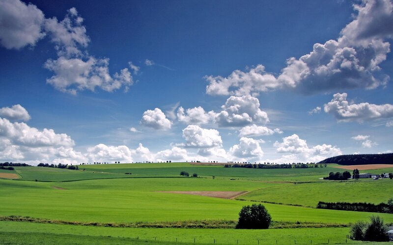 Green Fields under Blue Sky — Serene, Afternoon, Photograph