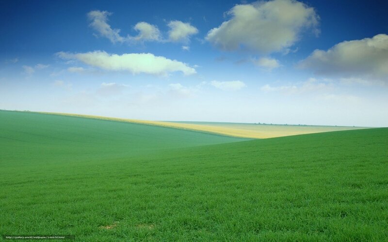 Green Fields under Blue Sky — Serene, Afternoon