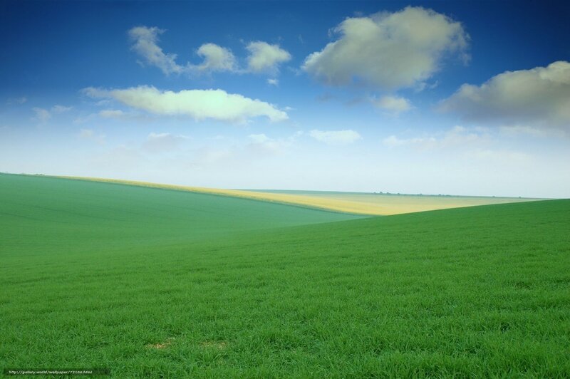 Green Fields Under Blue Sky