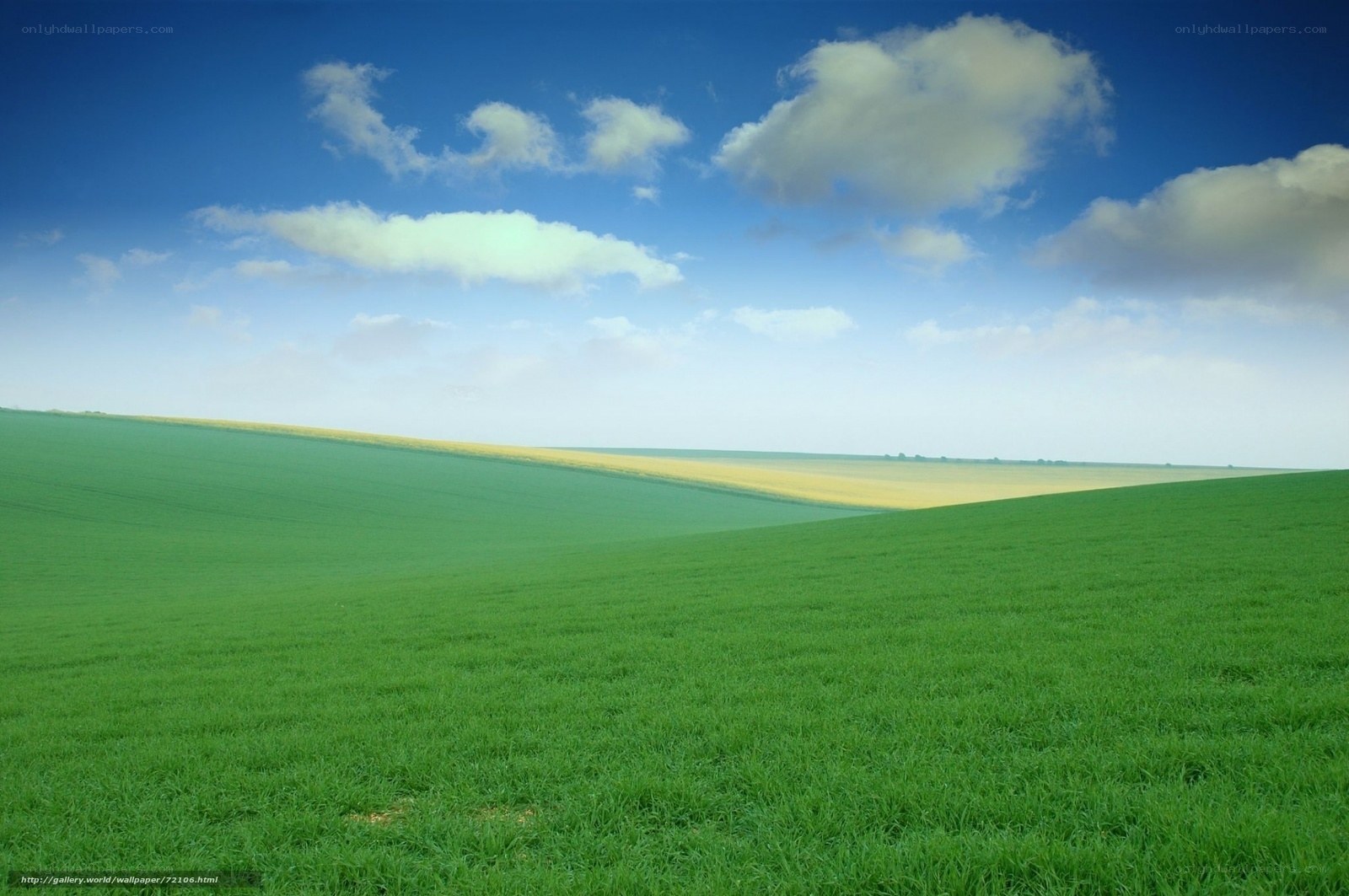 Green Fields Under Blue Sky