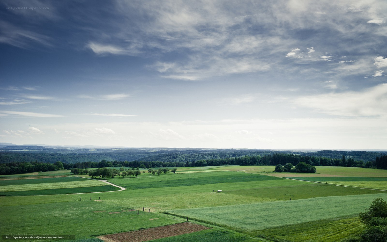 Green Fields Under Cloudy Sky