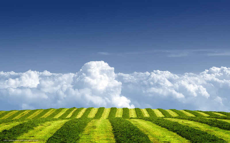 Green Fields Under Cloudy Sky