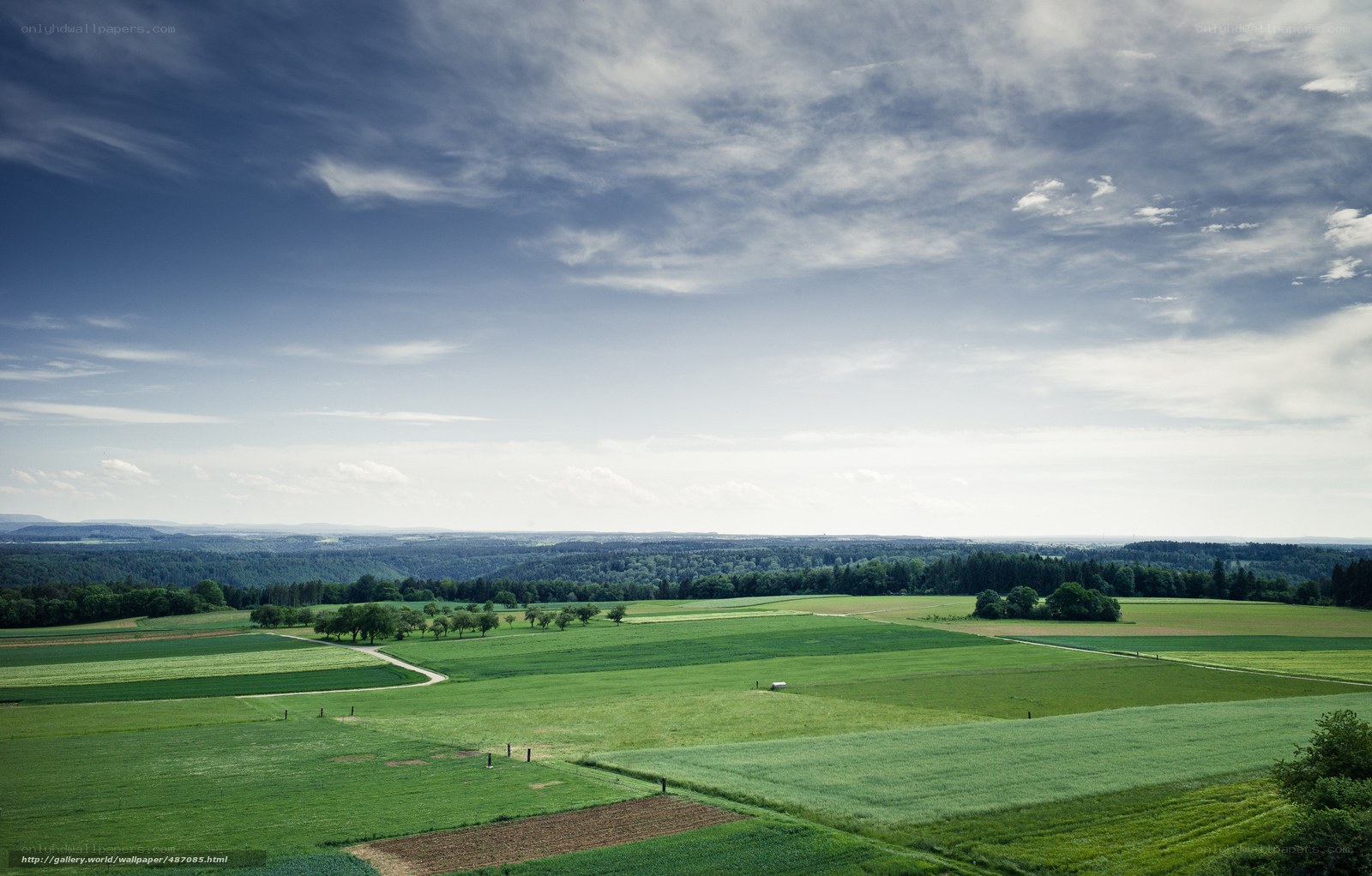 Green fields under cloudy sky