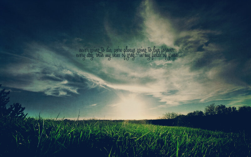 green fields under cloudy sky