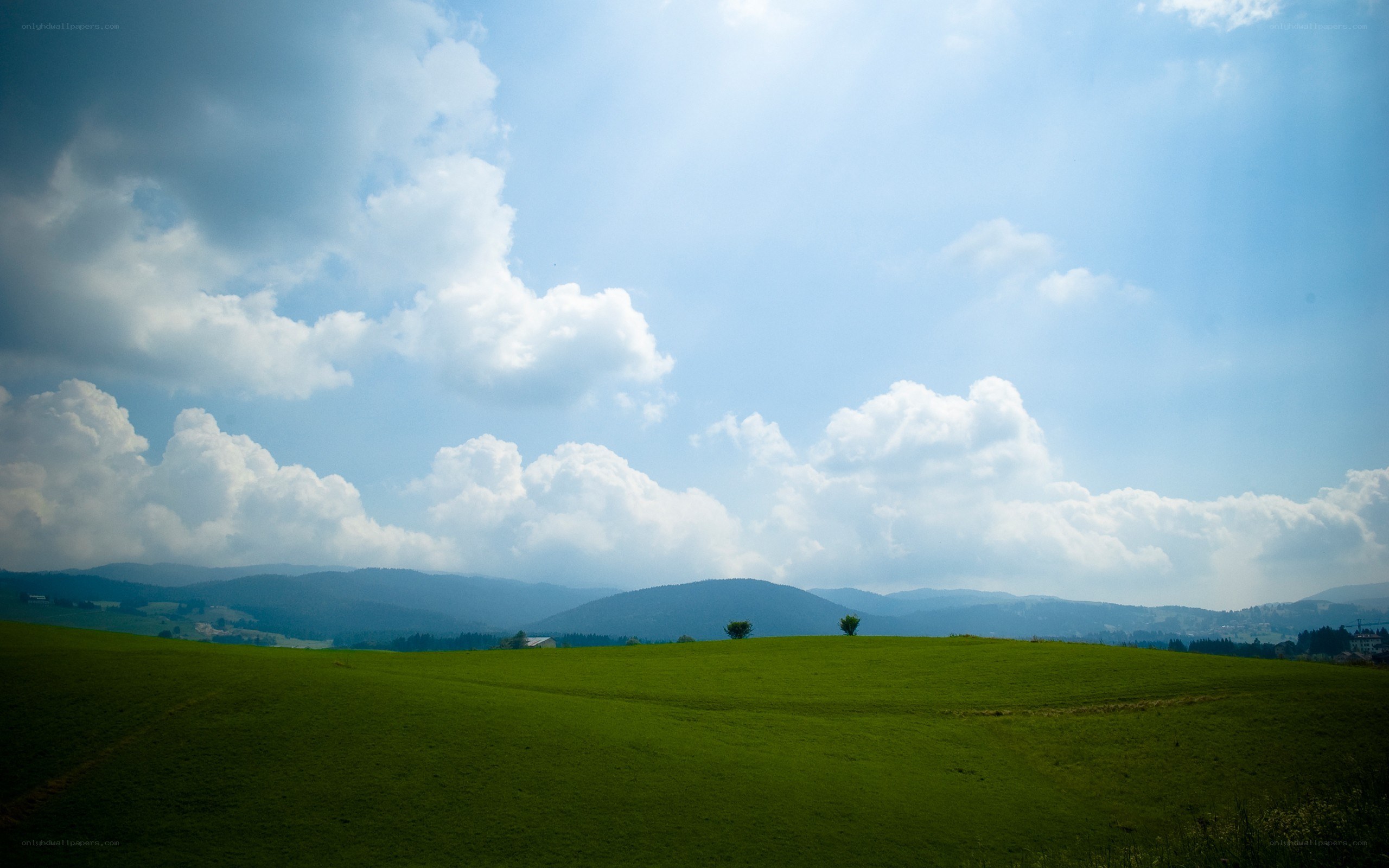 Green fields under cloudy sky