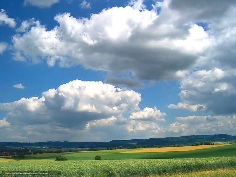 Green fields under cloudy sky