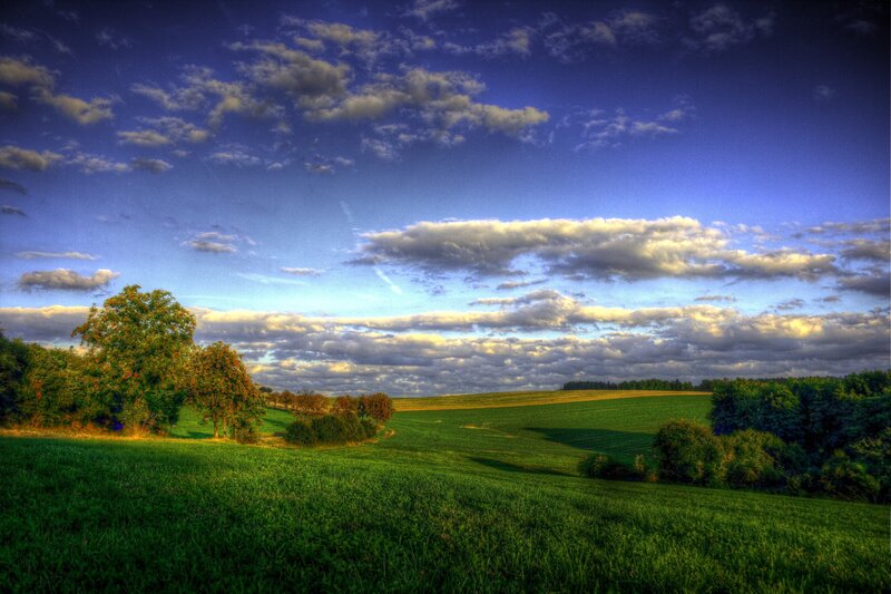 Green fields under cloudy sky