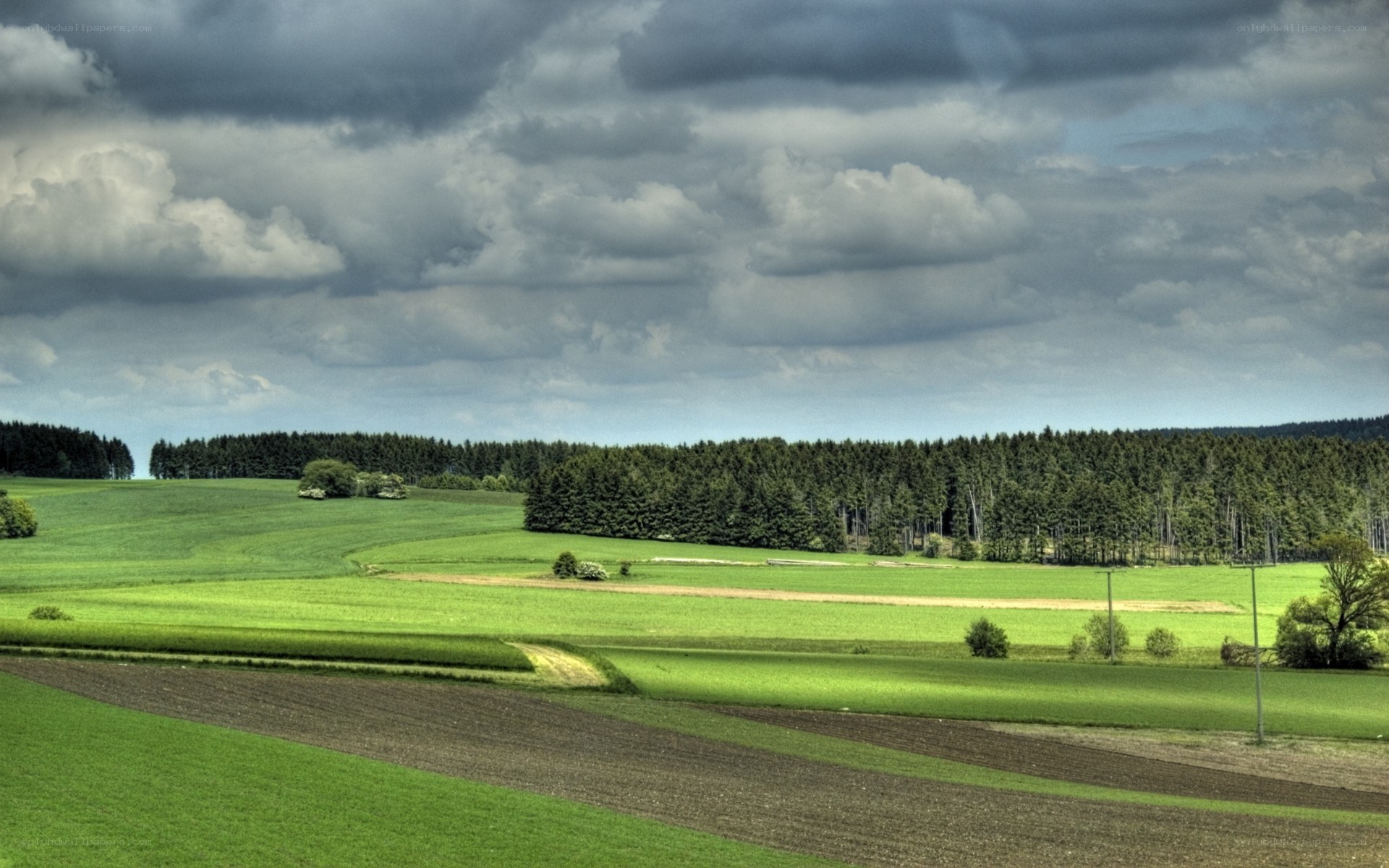 Green fields under cloudy sky