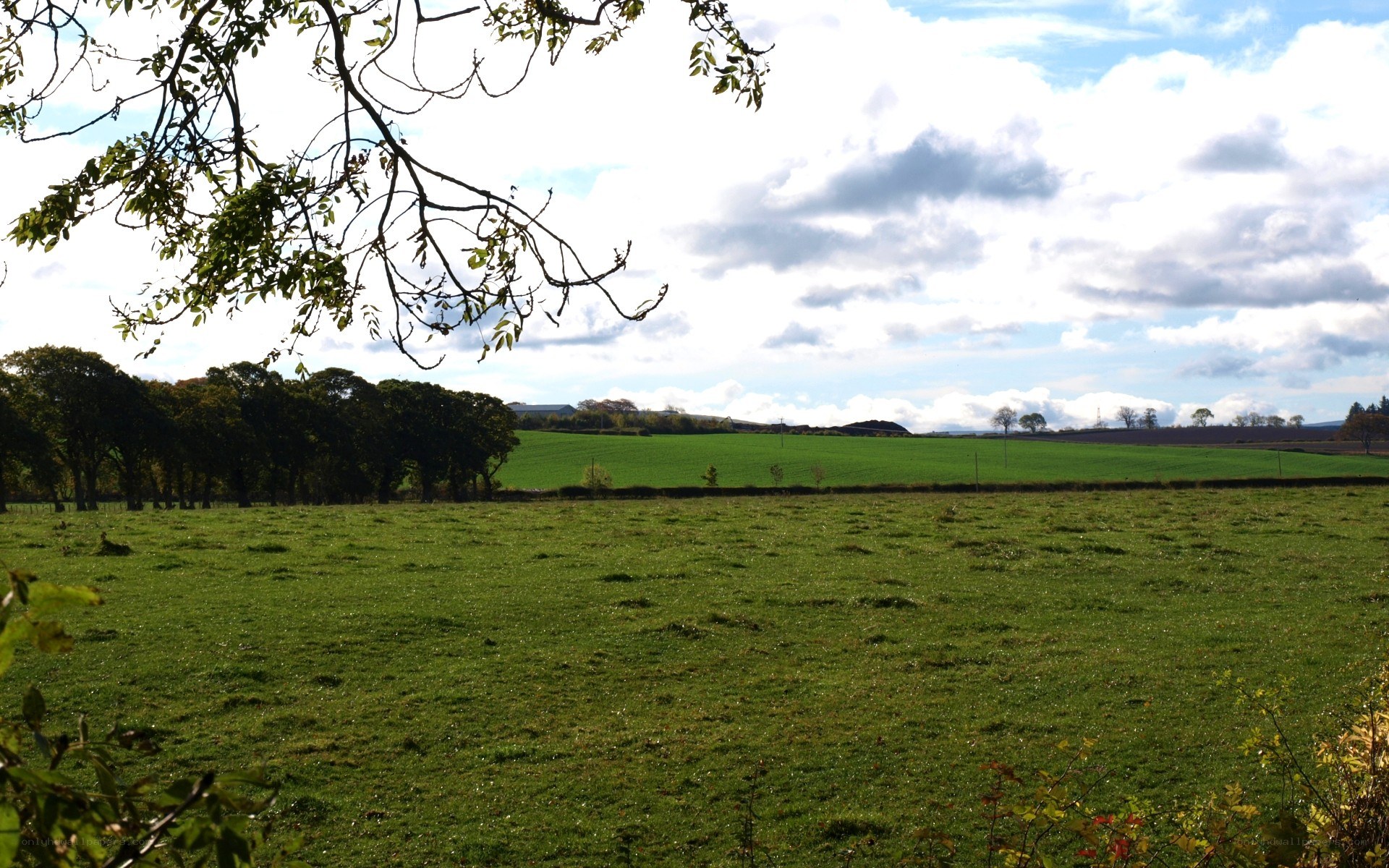 Green fields under cloudy sky