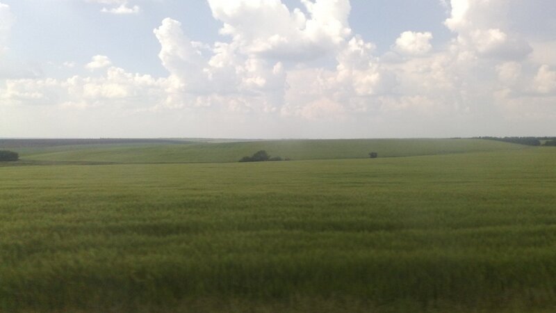 Green fields under cloudy sky
