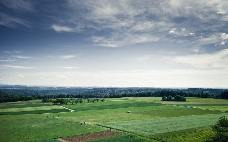 Green fields under cloudy sky