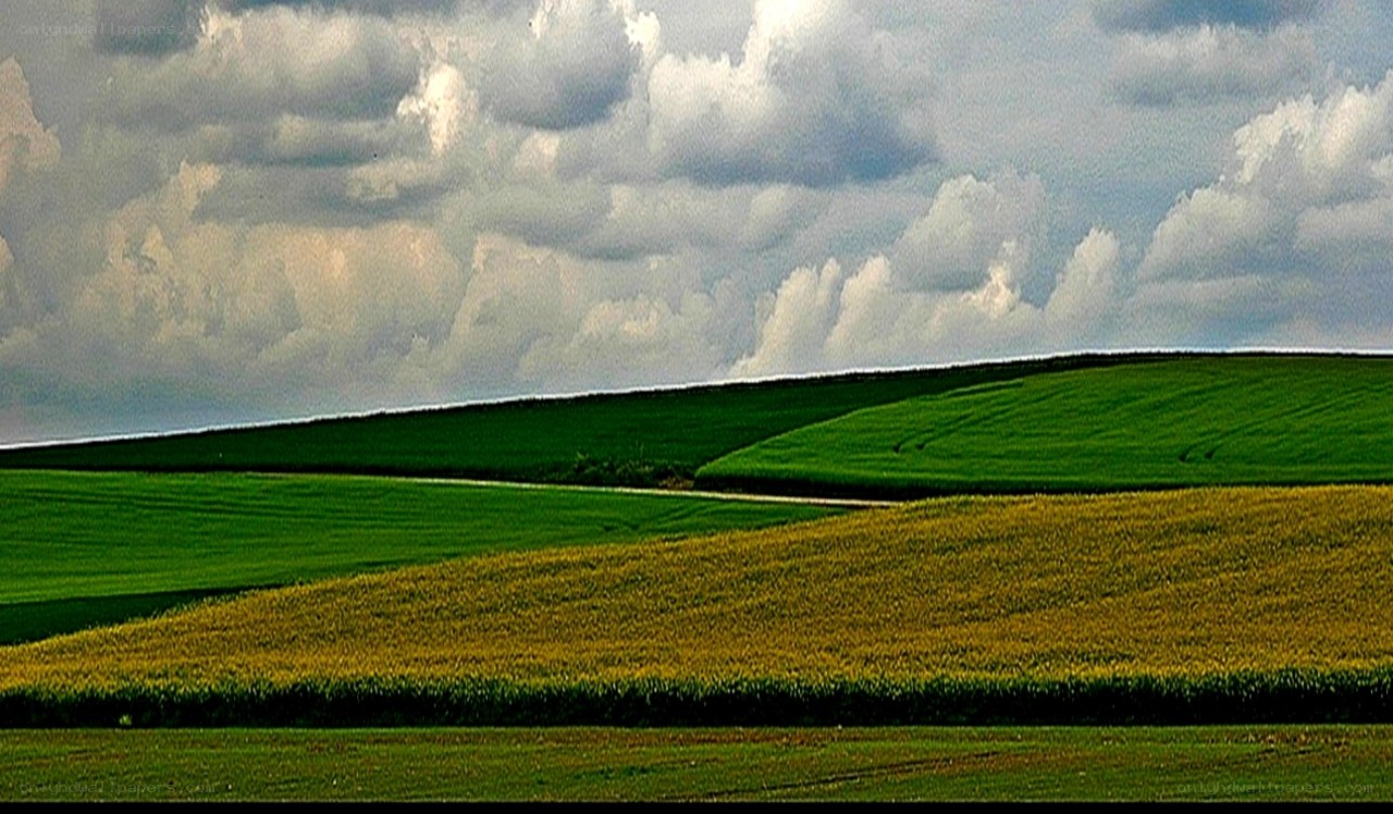 Green fields under cloudy sky