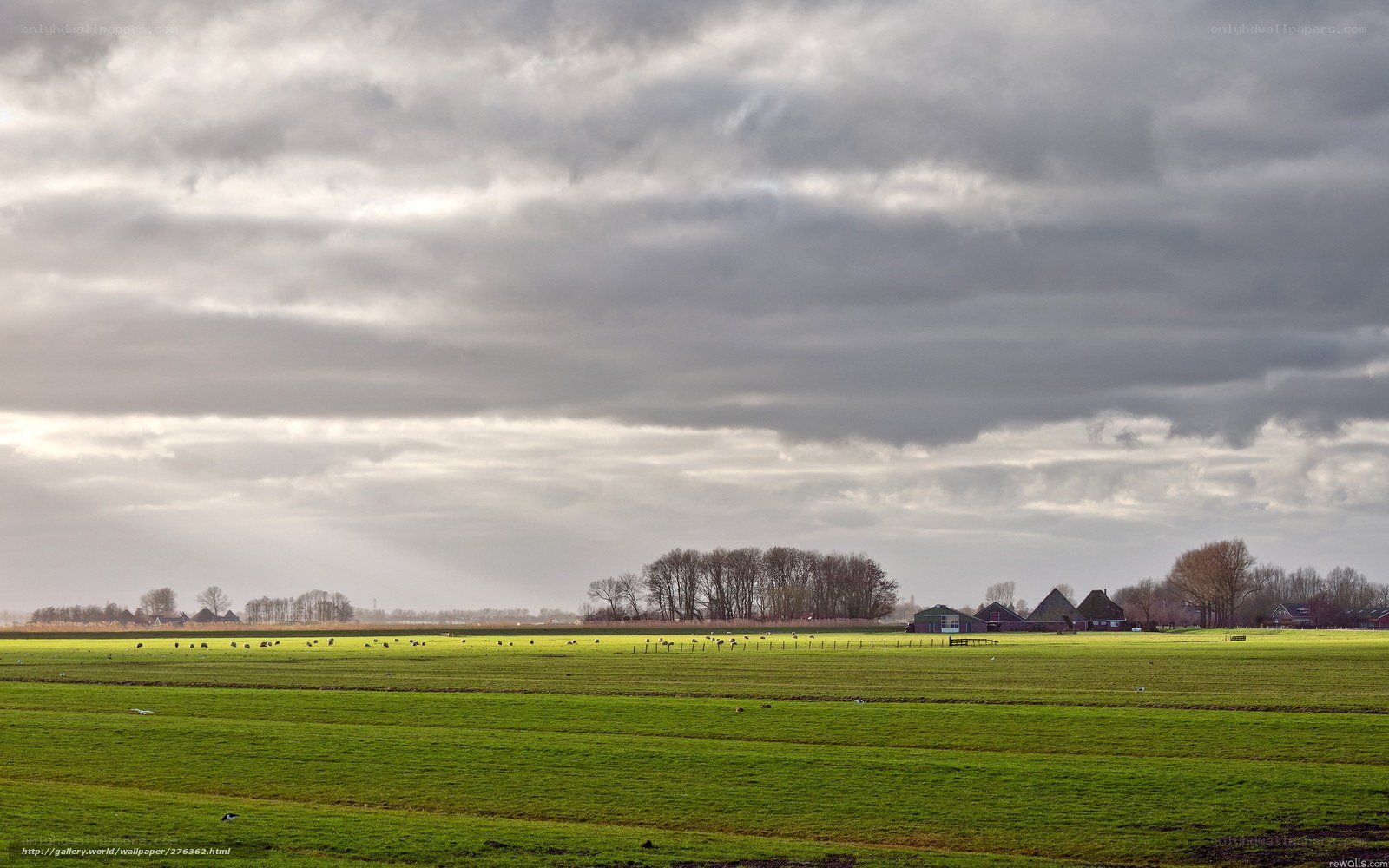 Green Fields Under Cloudy Sky