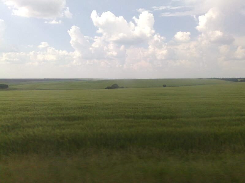 green fields under cloudy sky