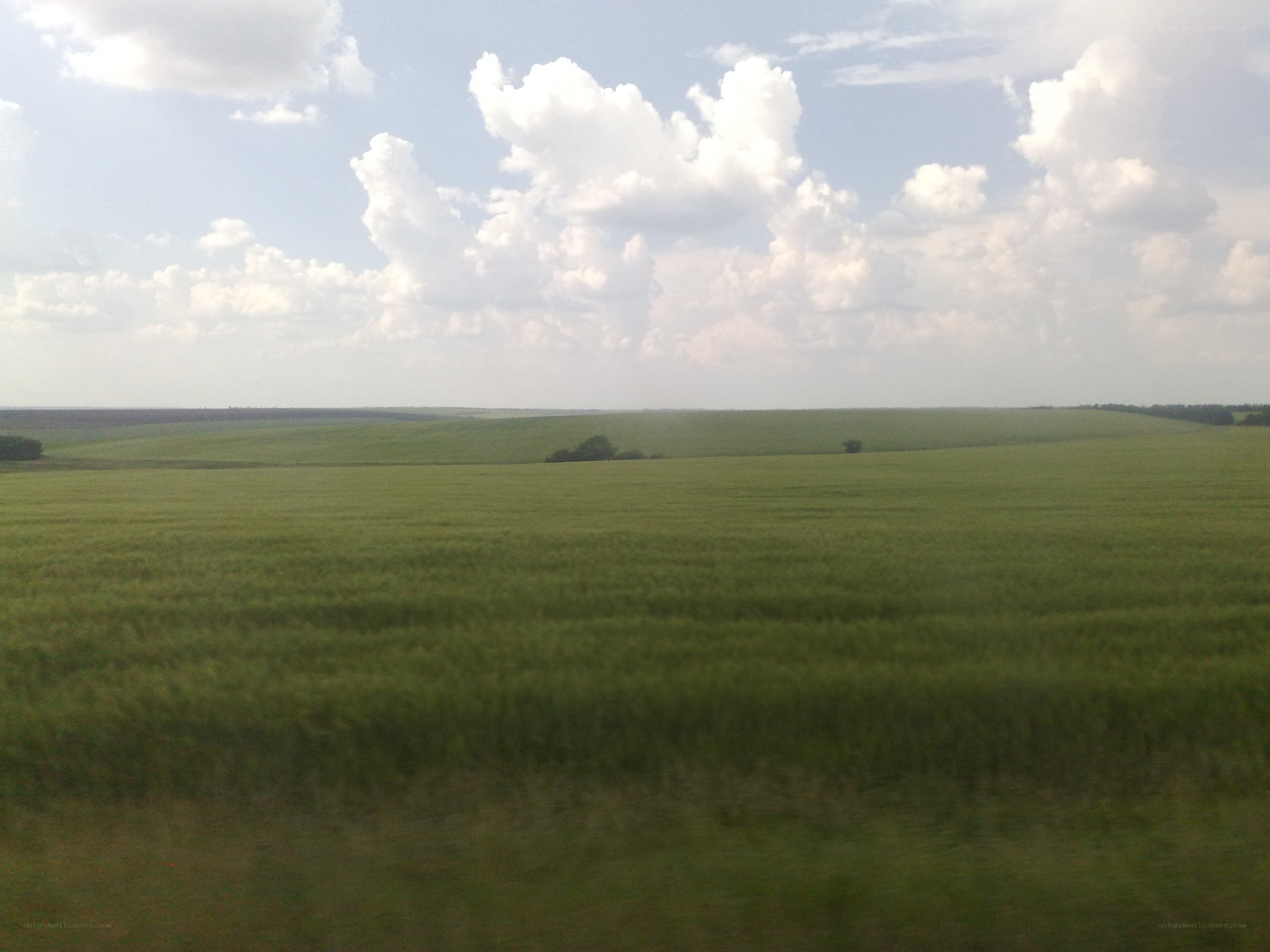green fields under cloudy sky