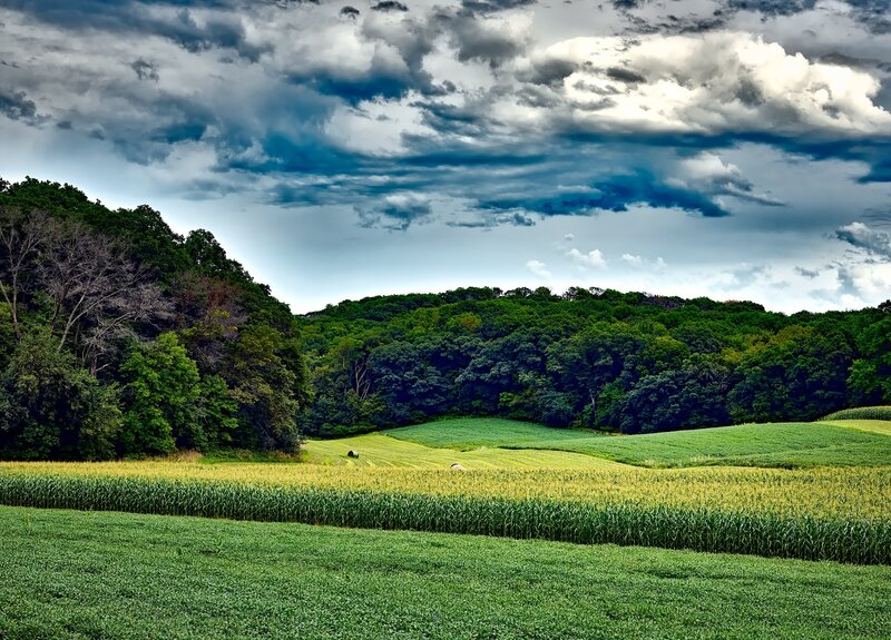 Green Fields under Cloudy Sky — Dramatic, Afternoon