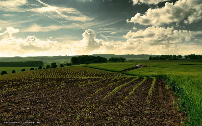 Green Fields Under Cloudy Sky